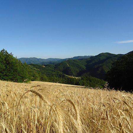 Agriturismo I Monti Di Salecchio Palazzuolo Sul Senio Kültér fotó