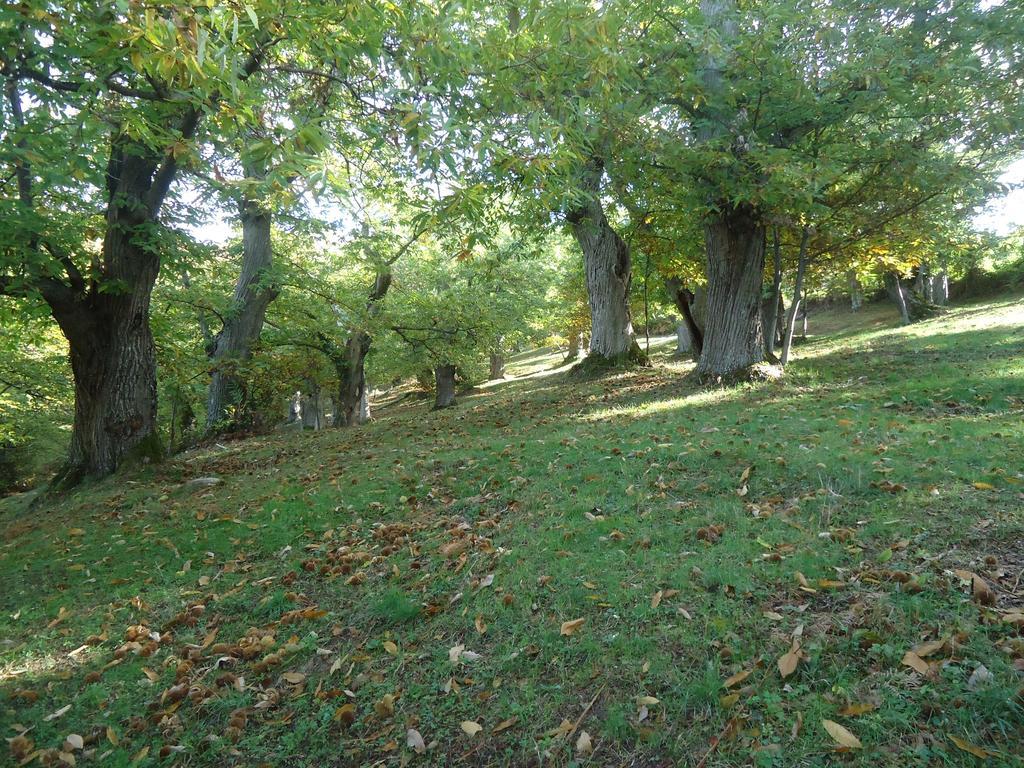 Agriturismo I Monti Di Salecchio Palazzuolo Sul Senio Kültér fotó